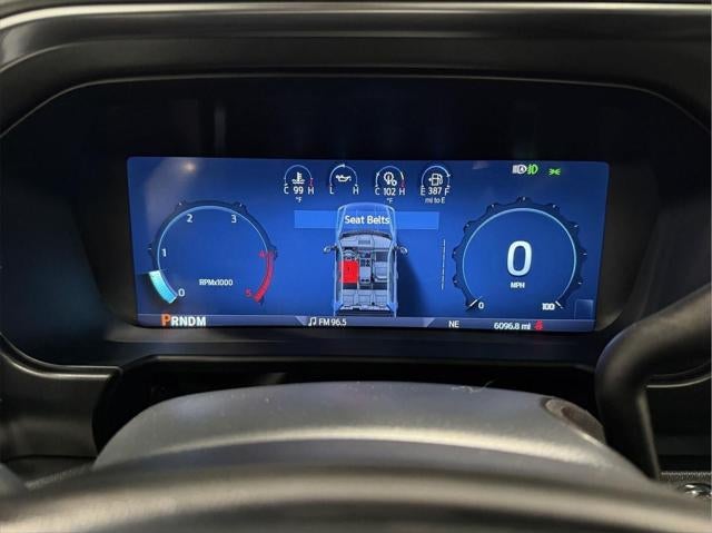 2025 Ford Super Duty F-250 Platinum