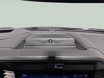 2025 Ford Super Duty F-250 Platinum