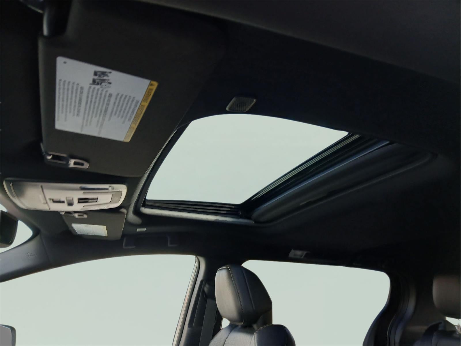 2025 Toyota SIENNA XLE AWD Woodland Edition