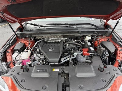 2024 Lexus NX 350 Premium